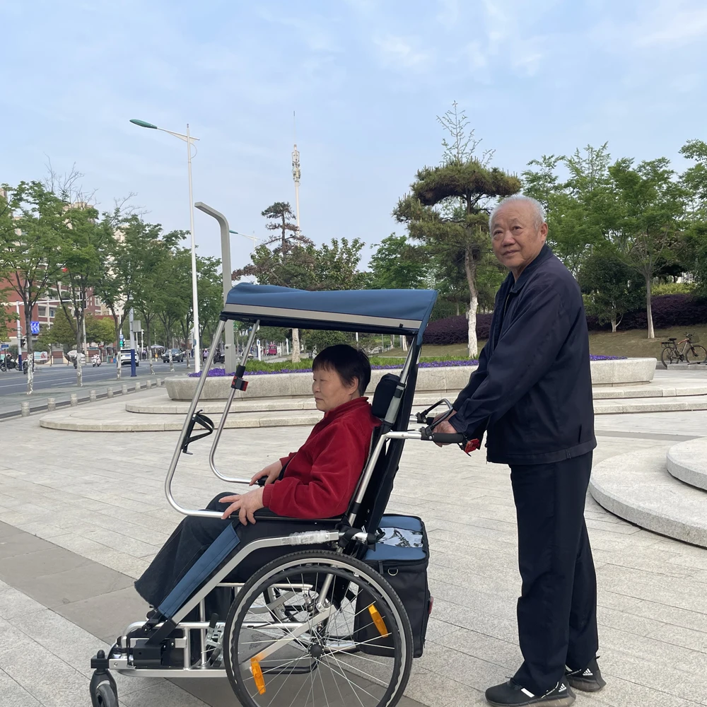 Remolque de bicicleta para niños y adultos Jogger y remolque, cochecito 3 en 1 con ruedas de 20 pulgadas portabebés para adultos - imagen 2