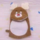 brown bear