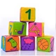 6PCS