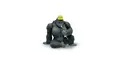 gorilla recorder