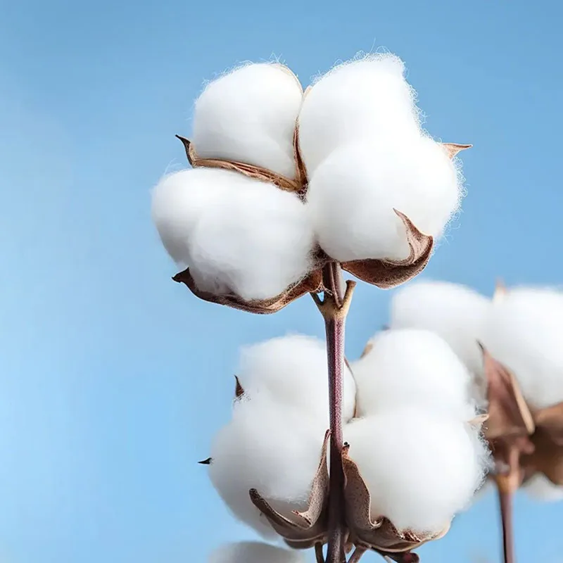 Calzoncillos Boxer de algodón para niños de 4 piezas, Boxers de sensación suave para niños, ropa interior con estampado que no se decolora, calzoncillos Boxer para niños con dibujos animados de coches y camiones - imagen 5