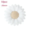 30mm 01