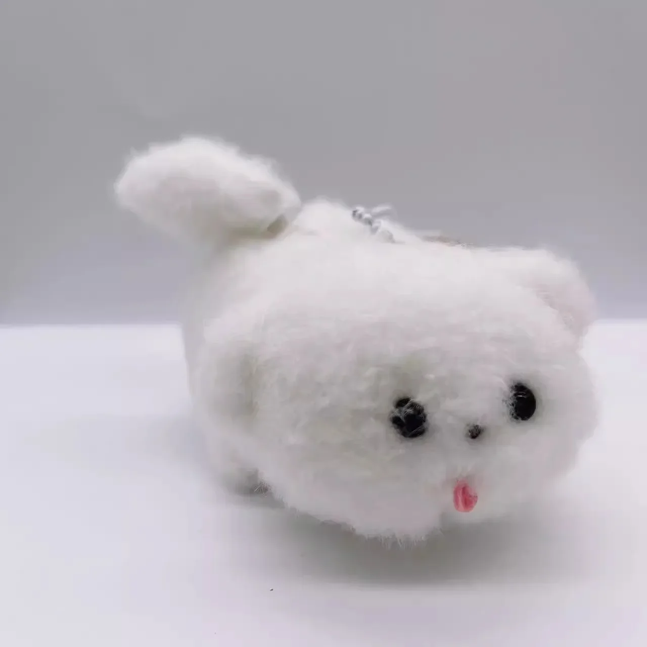 white dog
