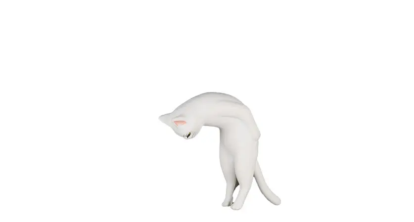 I am sorry A