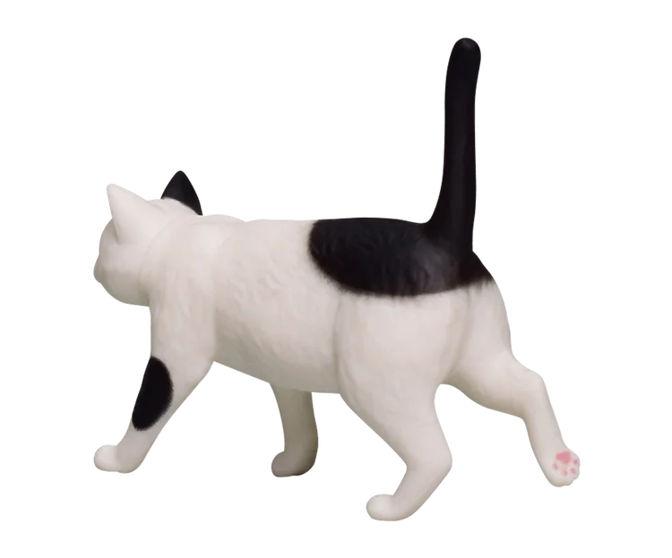 Bicolor cat Gutter