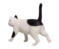 Bicolor cat Gutter