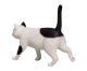 Bicolor cat Gutter