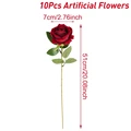 10pcs