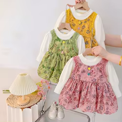 Vestido pequeño para niña, ropa Floral bonita de manga larga para primavera y otoño, ropa de princesa