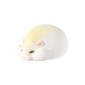 Yellow white hamster