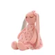 Rabbit 54