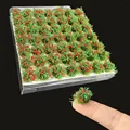 Red Green