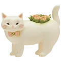 white cat planter