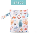 EF509