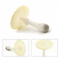 Amanita4