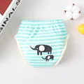 Stripe elephant