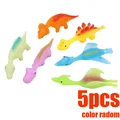 B5 color radom