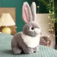 Gray 25cm