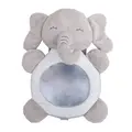 Fun Mirror elephant