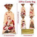 25pcs