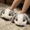 gray rabbit