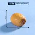 10Pcs Kiwifruit