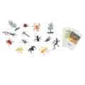 insects