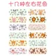 100pcs random style