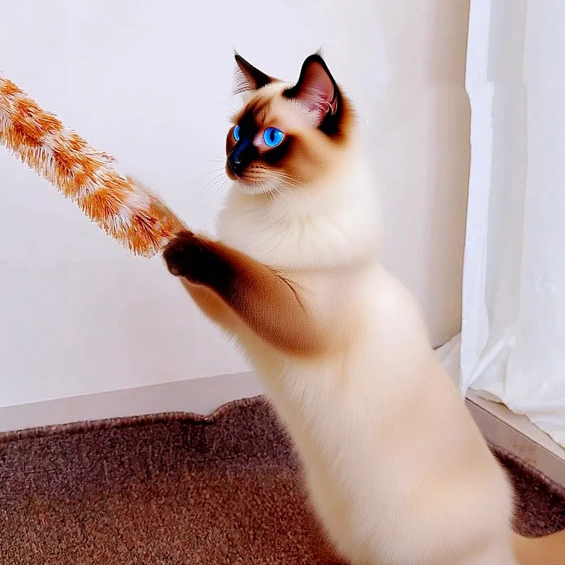 Juguete para gatos con plumas, palos de rompecabezas para gatos, juguetes interactivos de lana para gatos, cuerda resistente a mordeduras, juguetes para gatos con campana, productos para mascotas - imagen 2