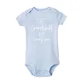 R3961-SRPLB-