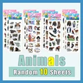 10 Sheets ZSDW