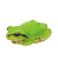 Green color