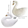 random color-swan