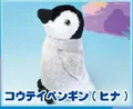 Penguin baby