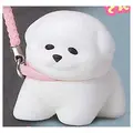 Bichon reject home A