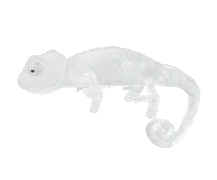 Grasp transparent