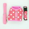 pink round dot