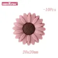 10pcs Blush