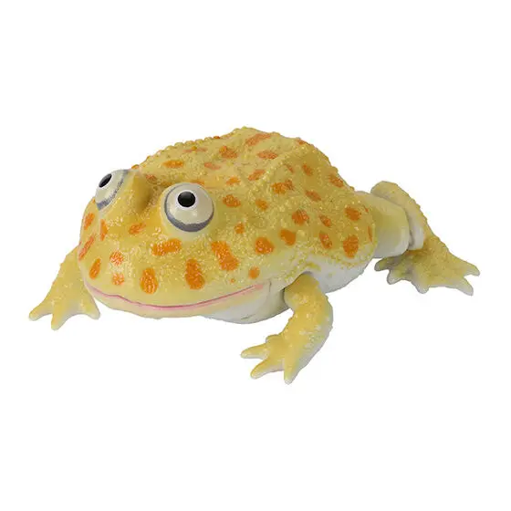 Yellow Budget Frog