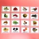 16pcs fruit B