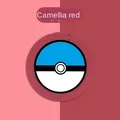 pokemon 19