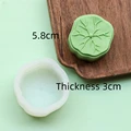 A Silicone Mold