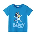 BLY 362
