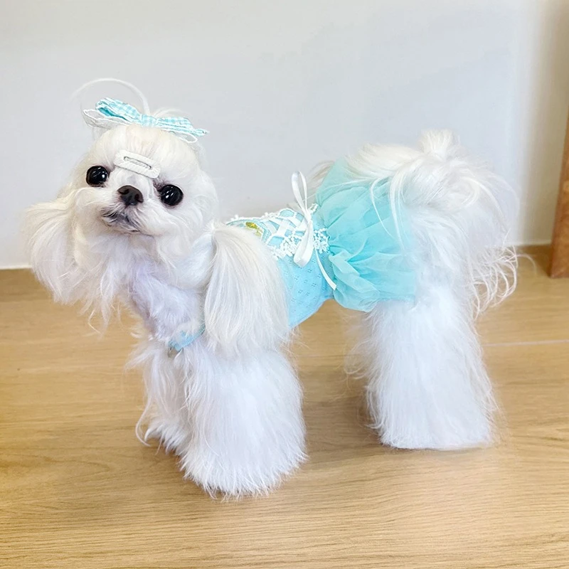 Vestido para mascotas Primavera/Verano para gatos/perros, lazo de encaje con tirantes, falda de malla de princesa Pong, vestidos para perros pequeños, ropa para cachorros - imagen 4