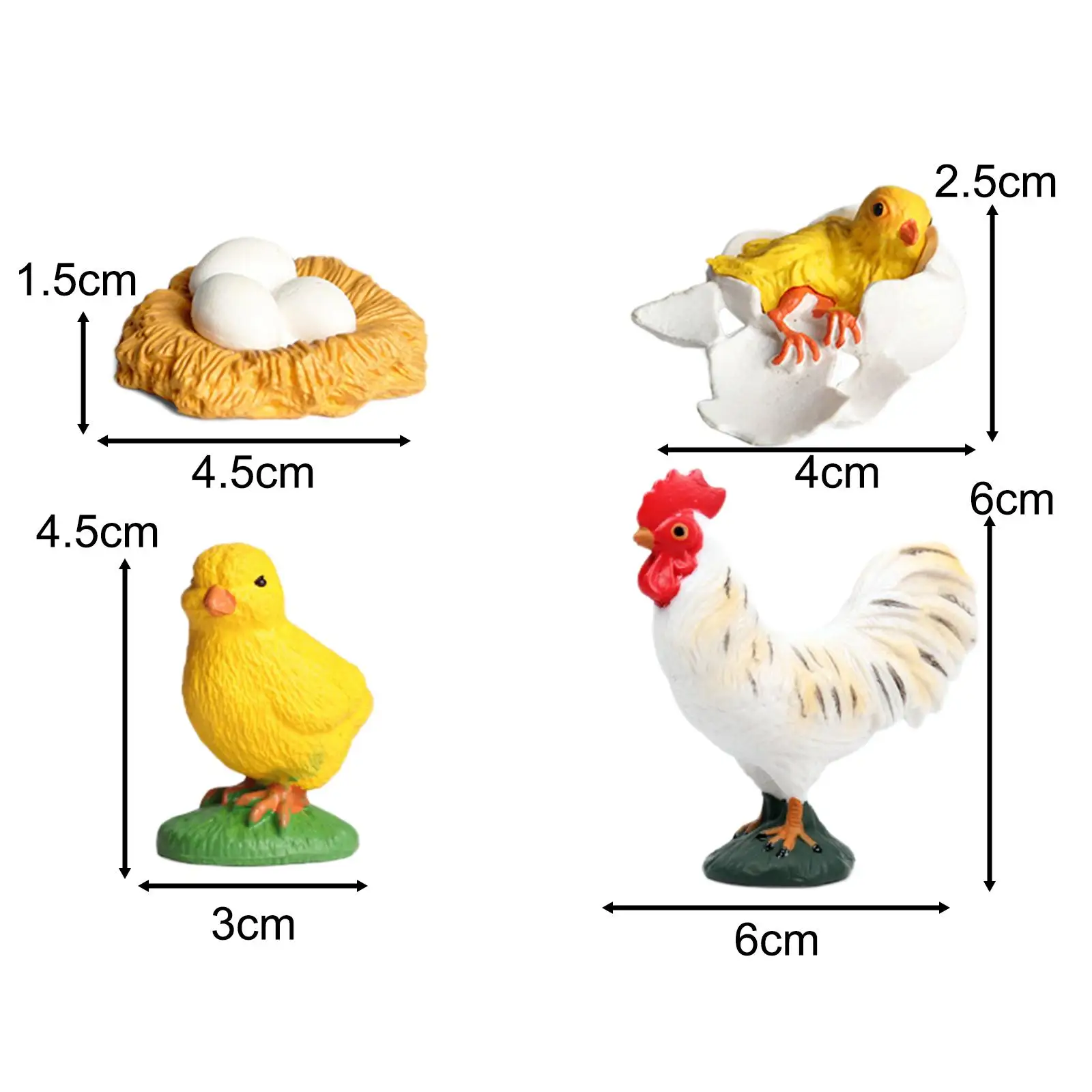 Rooster Life Cycle Set Education Toy Animals Figurine Toy for Boy Girls Kids