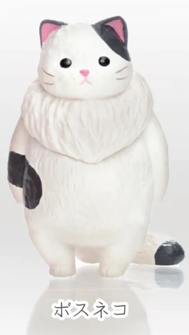 Bicolor cat
