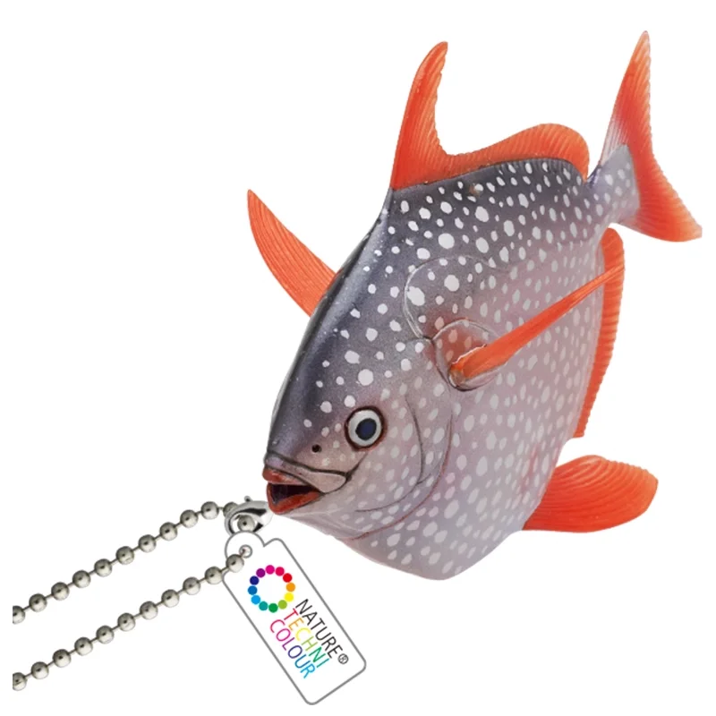 Pulpo común y Gigantocypris colección