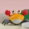 Orange Crab