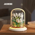 520pcs