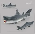 116 white shark